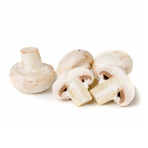 champiñon
